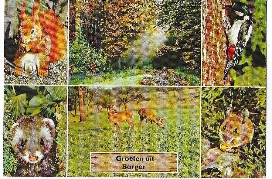 Borger, Ophalen of Verzenden, 1960 tot 1980, Gelopen, Drenthe