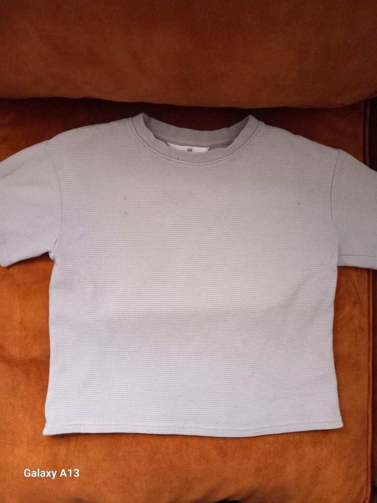 Hema zomer t-shirt, Kleding | Heren, T-shirts, Ophalen of Verzenden, Gedragen, Grijs, Hema