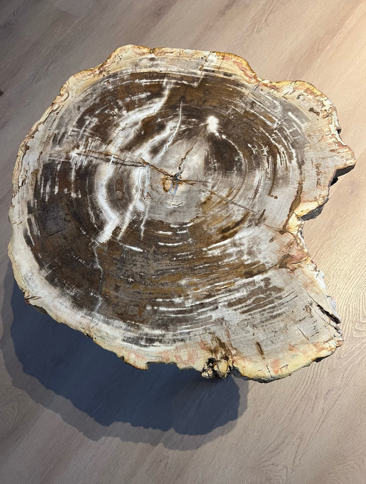 Unieke versteend hout tafel van Goossens, Huis en Inrichting, Ophalen, 50 tot 100 cm, Zo goed als nieuw, Overige vormen