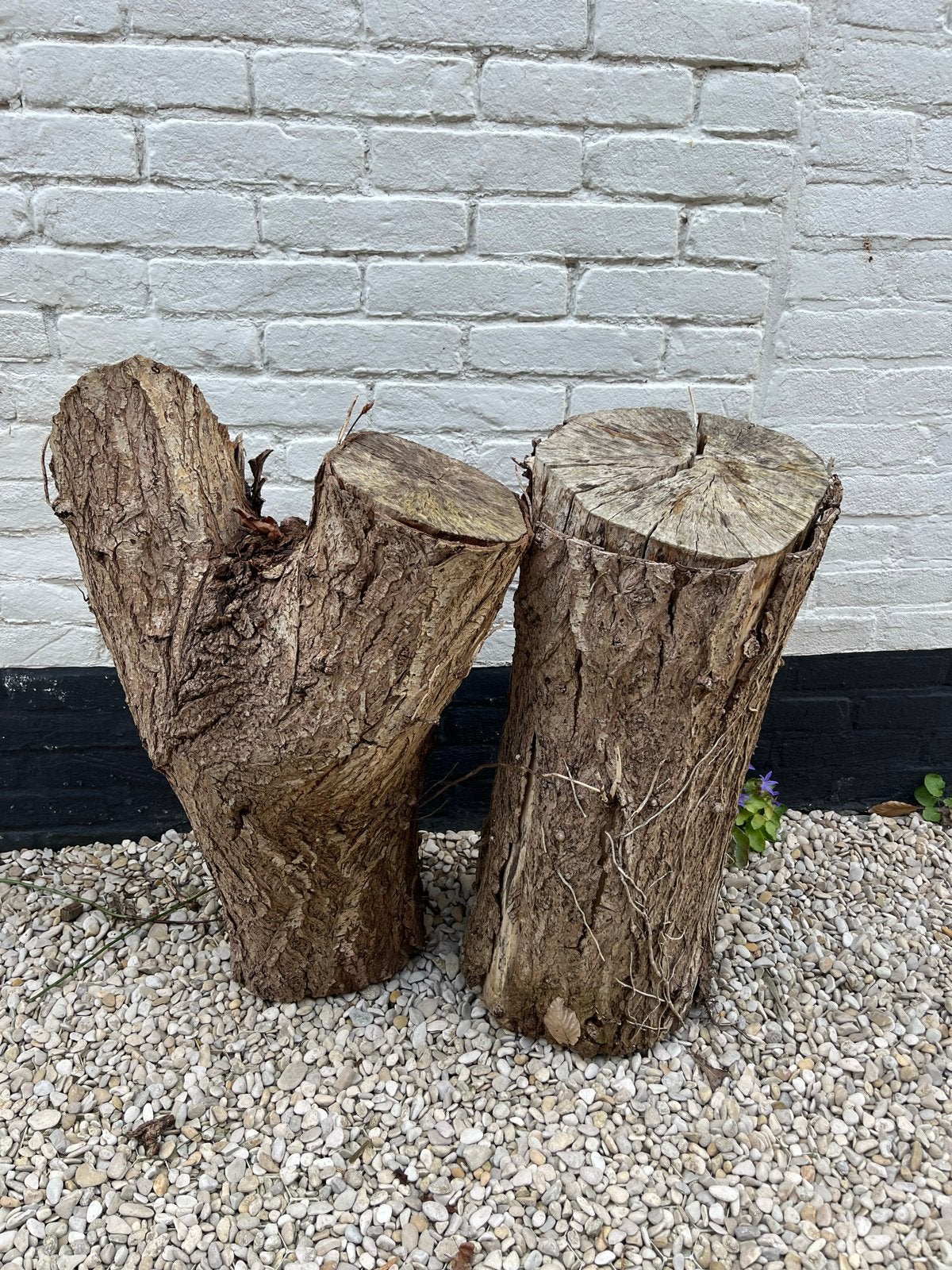 Hakblokken of boomstammen - 65 cm hoog, 25 cm diameter, Minder dan 3 m³, Ophalen, Stammen