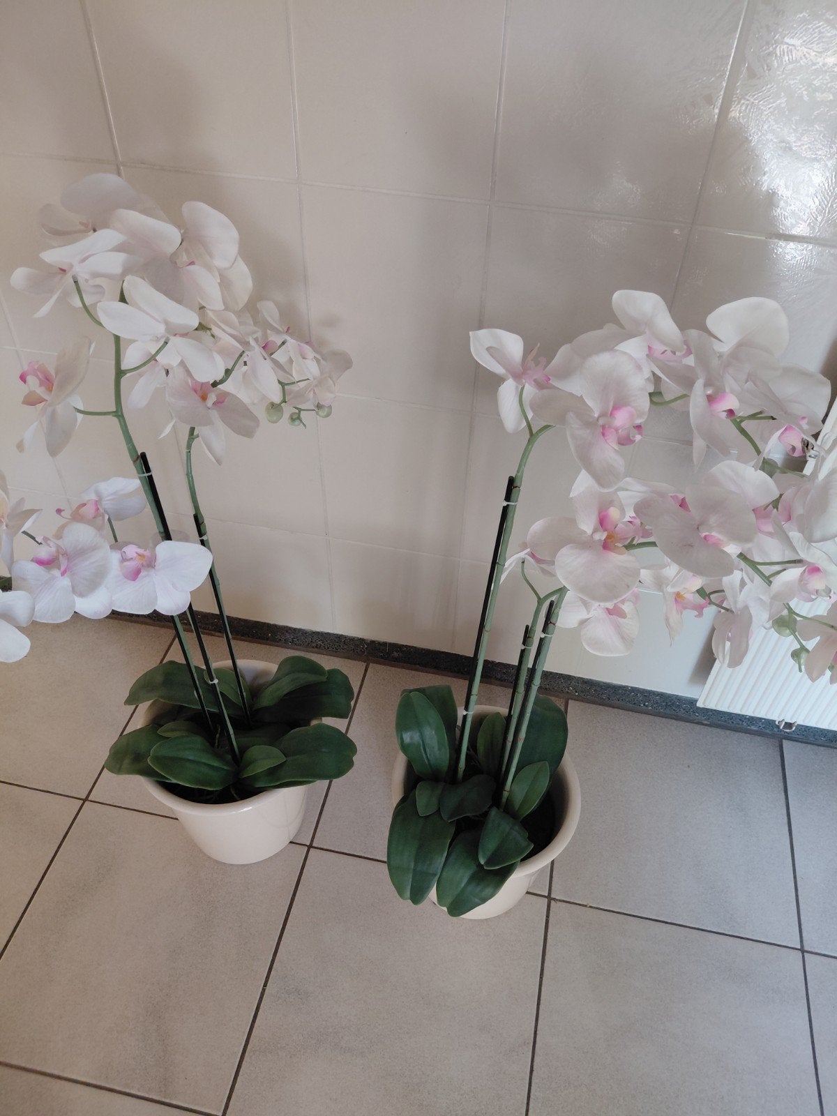 2 orchideeën kunst, Ophalen