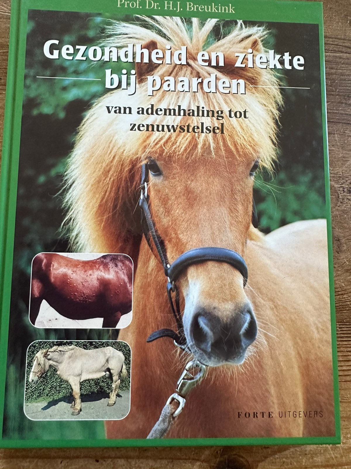 Gezondheid en ziekte bij paarden, Boeken, Ophalen of Verzenden, Zo goed als nieuw, Paarden of Pony's