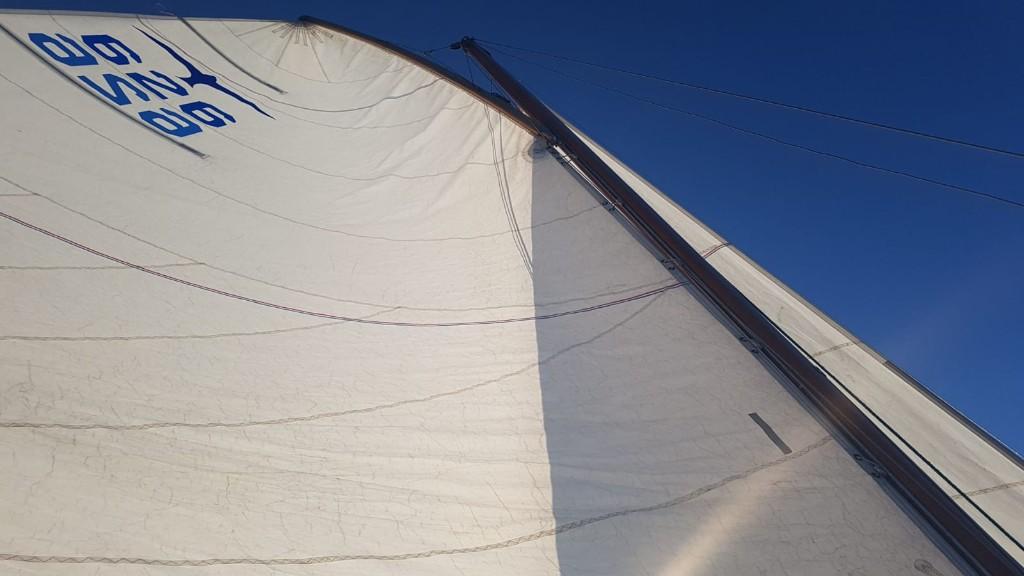 Zeilboot Valk. Opbrengst is donatie voor Oekraïne, Ophalen, Gebruikt, 3 pk, Fok