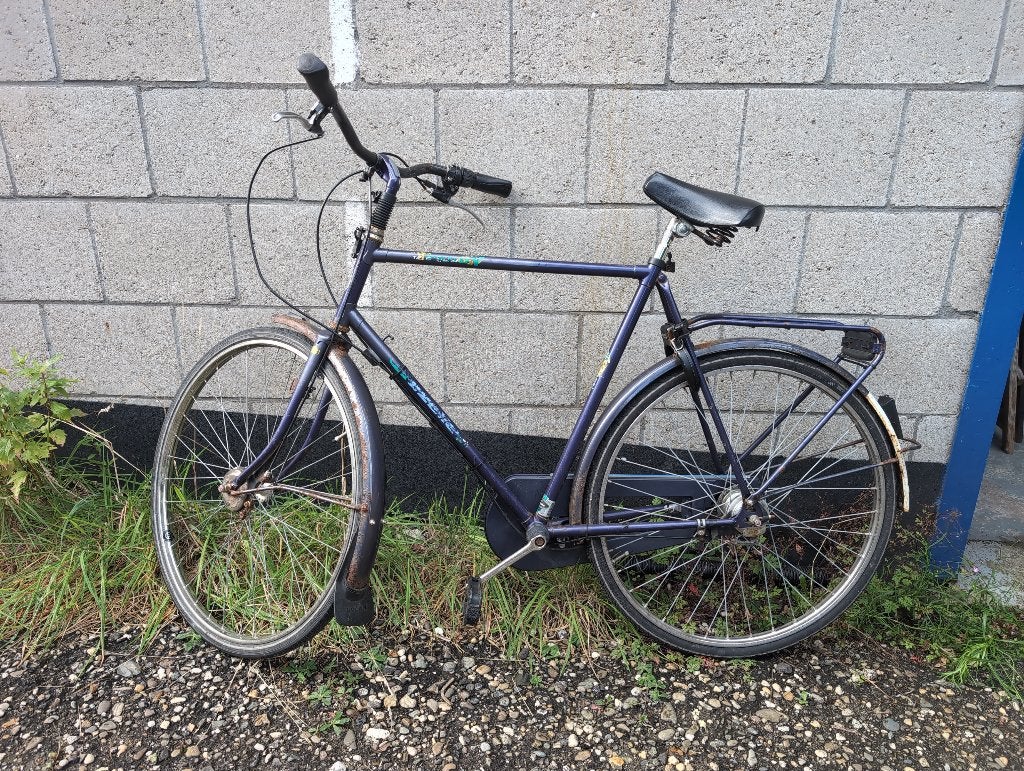 Gazelle Trendy fiets stadsfiets, Fietsen en Brommers, Ophalen, Gebruikt, 65 cm of meer, Gazelle