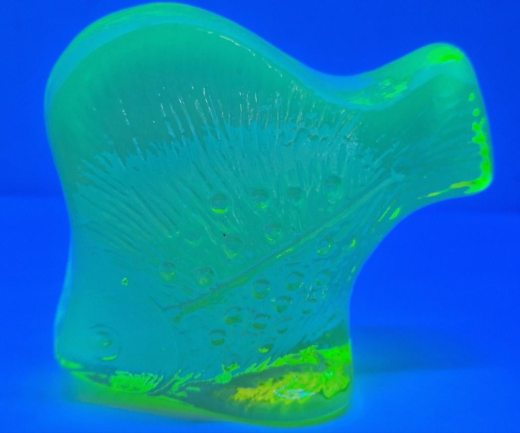Uranium glas   een vis, Vis