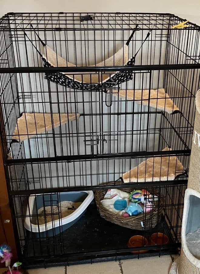Katten bench zonder toebehoren, Ophalen, Gebruikt