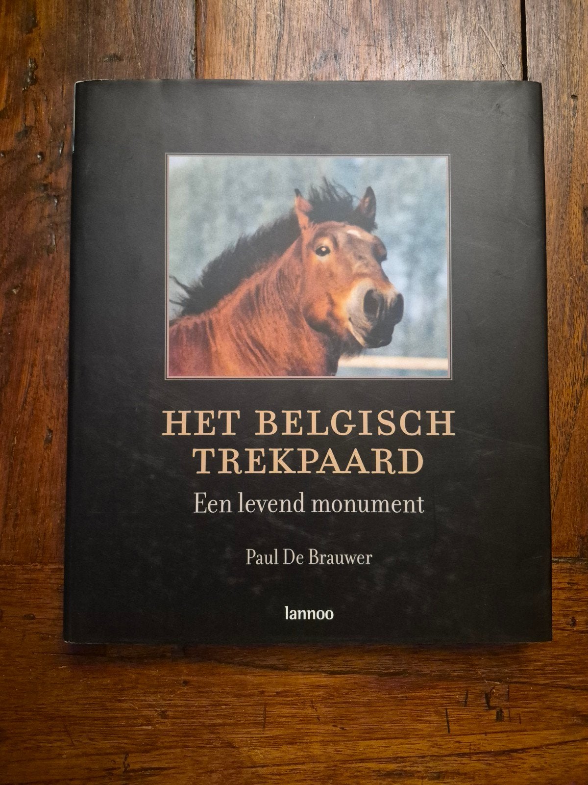 Het Belgisch Trekpaard: Een Levend Monumen Uniek exemplaar, Ophalen of Verzenden, Zo goed als nieuw, Paarden of Pony's, Paul De Brauwer