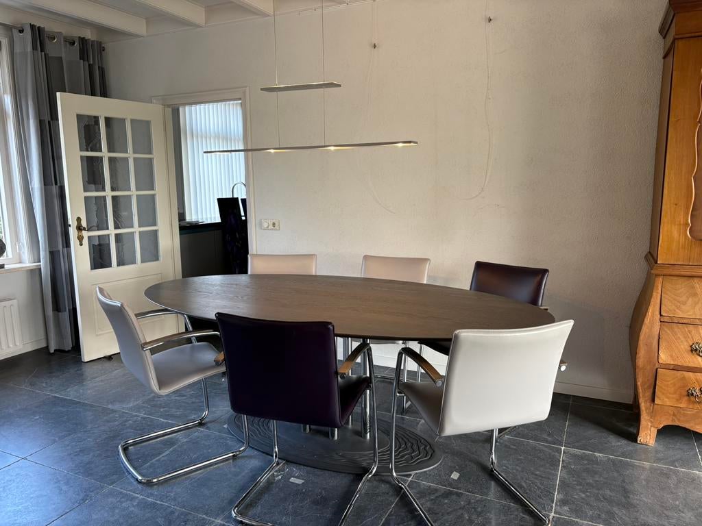 Design eetset (Leolux) – 6 stoelen + ovale tafel, Ophalen, Ovaal, 200 cm of meer, 100 tot 150 cm