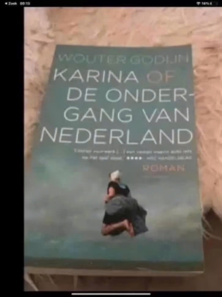 Karina of De Ondergang van Nederland - Wouter Godijn, Gelezen, Wouter Godijn, Ophalen of Verzenden, Algemeen