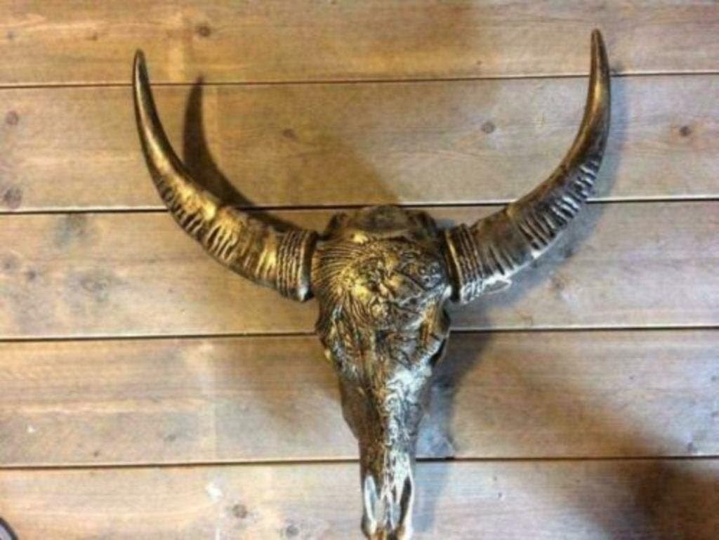 Foto 9 van Buffelschedels , Skulls , Longhorn , hoorns , bison schedels