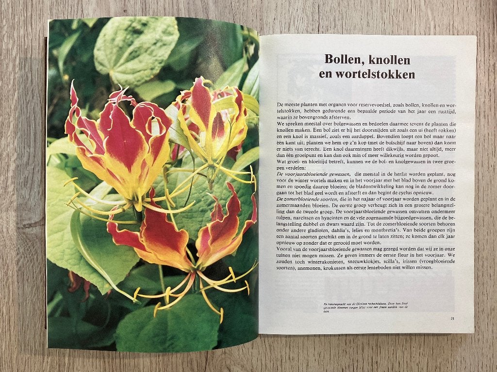 Boek : Tuinieren en het Verzorgen van Kamerplanten, Boeken, Ophalen of Verzenden, Zo goed als nieuw, Lekturama Rotterdam, Tuinieren en Tuinplanten
