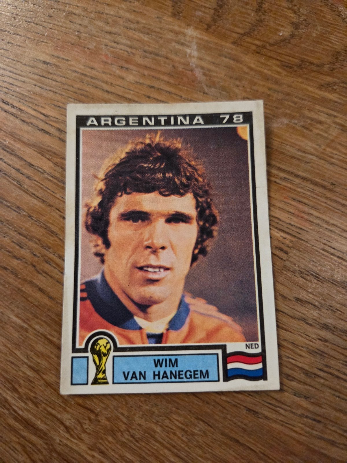 Panini WK 78, Ophalen of Verzenden, Zo goed als nieuw, Buitenlandse clubs, Poster, Plaatje of Sticker