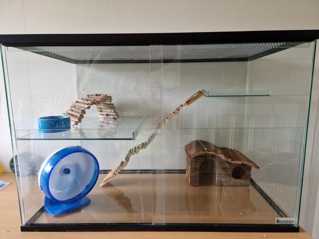 Hamster gerbril terrarium kooi, Dieren en Toebehoren, Knaagdieren en Konijnen | Hokken en Kooien, Minder dan 60 cm, Ophalen of Verzenden
