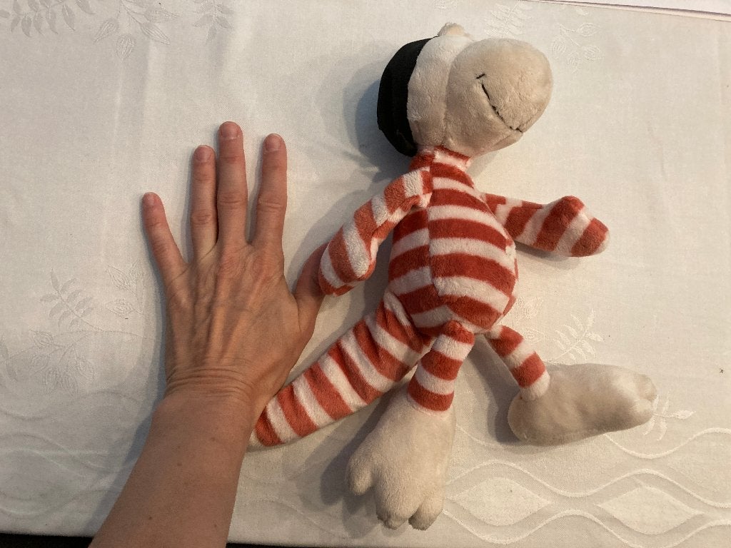 Nici knuffel hagedis wit oranje gestreept met hoofddoek!, NICI, Overige karakters, Overige typen, Ophalen of Verzenden