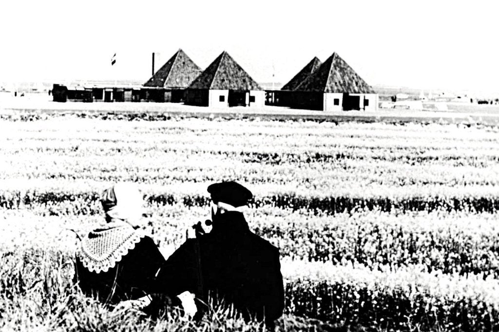 969338	Arnemuiden	1969 ZL Het Zilveren Schor	Niet gelopen, Verzamelen, Ophalen of Verzenden, 1960 tot 1980, Ongelopen, Zeeland