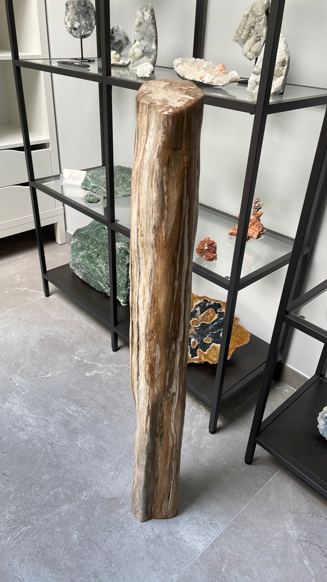Versteende Boomstam 100 cm hoog, Ophalen
