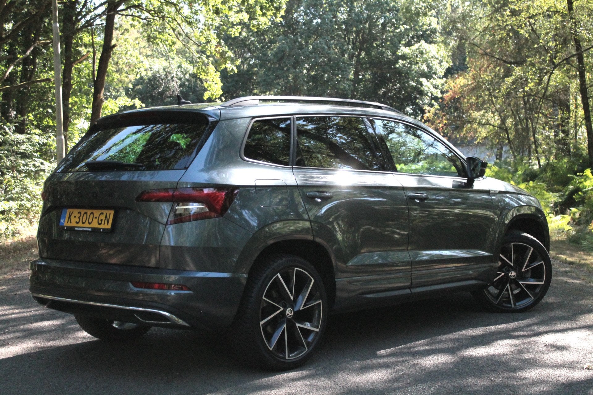 Skoda Karoq 1.5 TSI ACT Sportline Business | Trekhaak | Carp, 12 maanden, 4 cilinders, Leder en Stof, Bedrijf