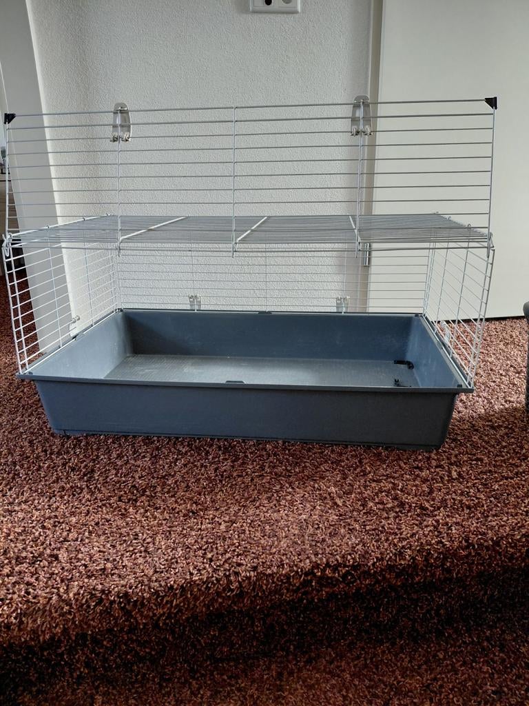 Binnenkooi, Ophalen of Verzenden, 75 tot 110 cm, Kooi, Minder dan 60 cm