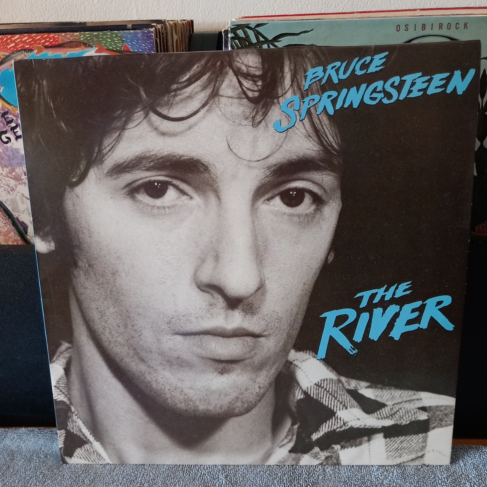 lp Bruce Springsteen the river 2 lp,s, Ophalen of Verzenden, Zo goed als nieuw