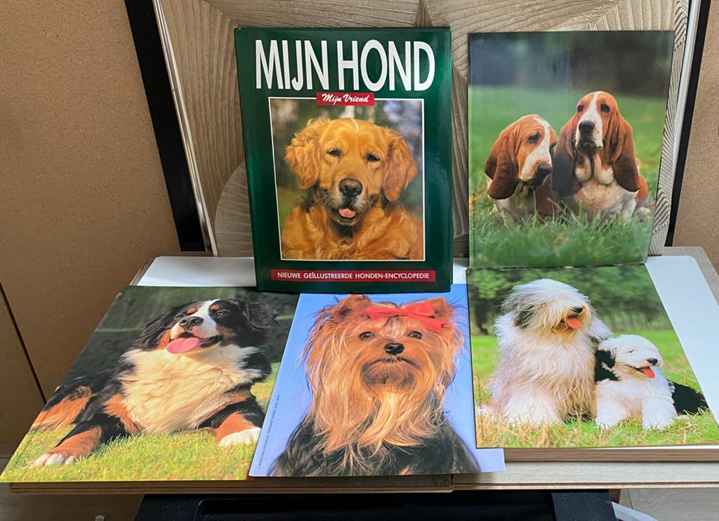 ‘Mijn Hond Mijn Vriend’ Retro Hondenencyclopedie, Ophalen of Verzenden, Gelezen, Honden