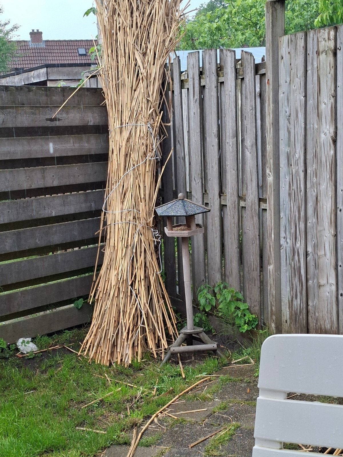 Gratis losse bamboe, Ophalen, Overige materialen, 200 cm of meer, 150 tot 200 cm