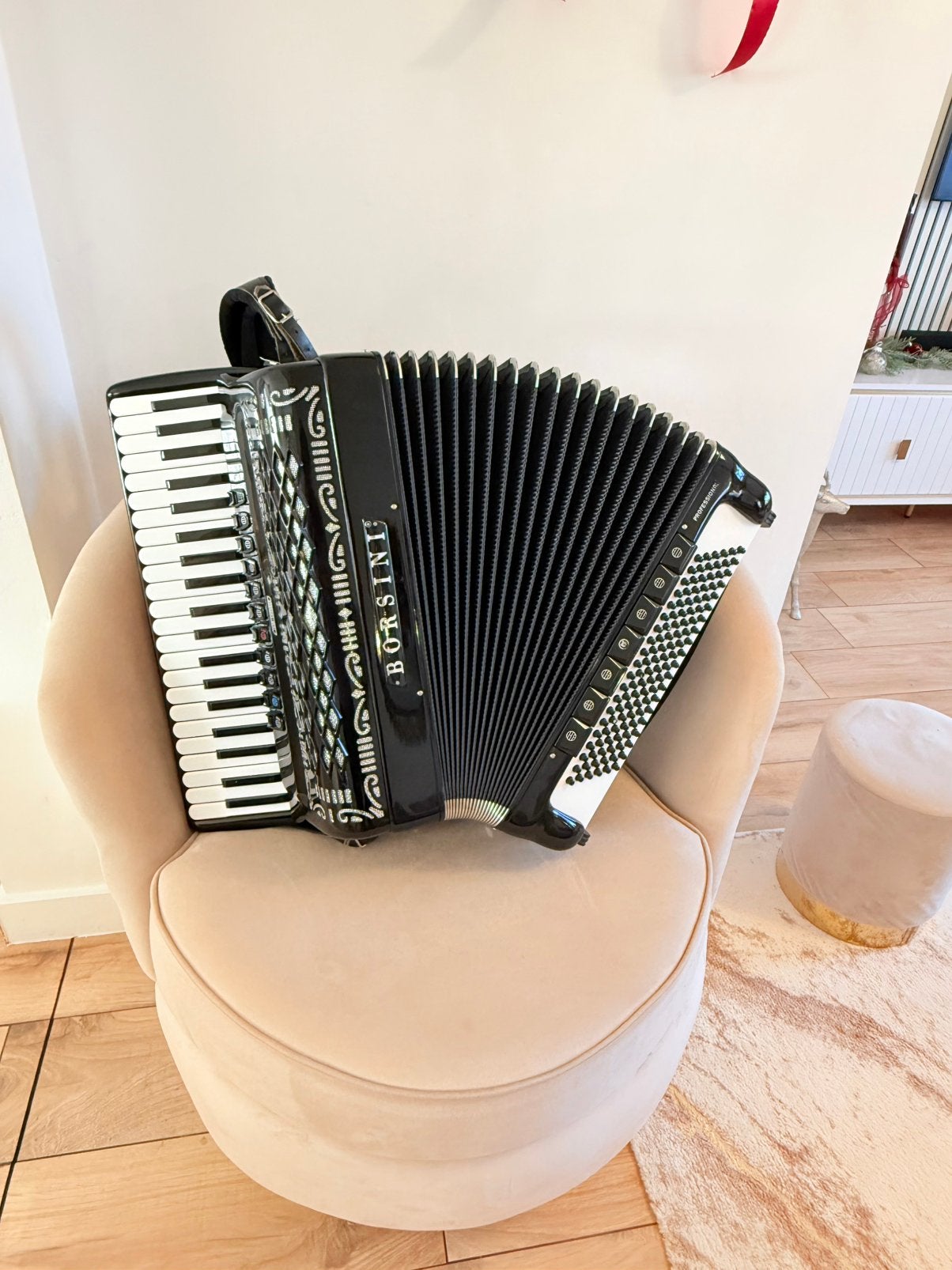 Accordeon Borsini Professional 2+2, Muziek en Instrumenten, Accordeons, Ophalen of Verzenden, Zo goed als nieuw, 120-bas, Overige merken
