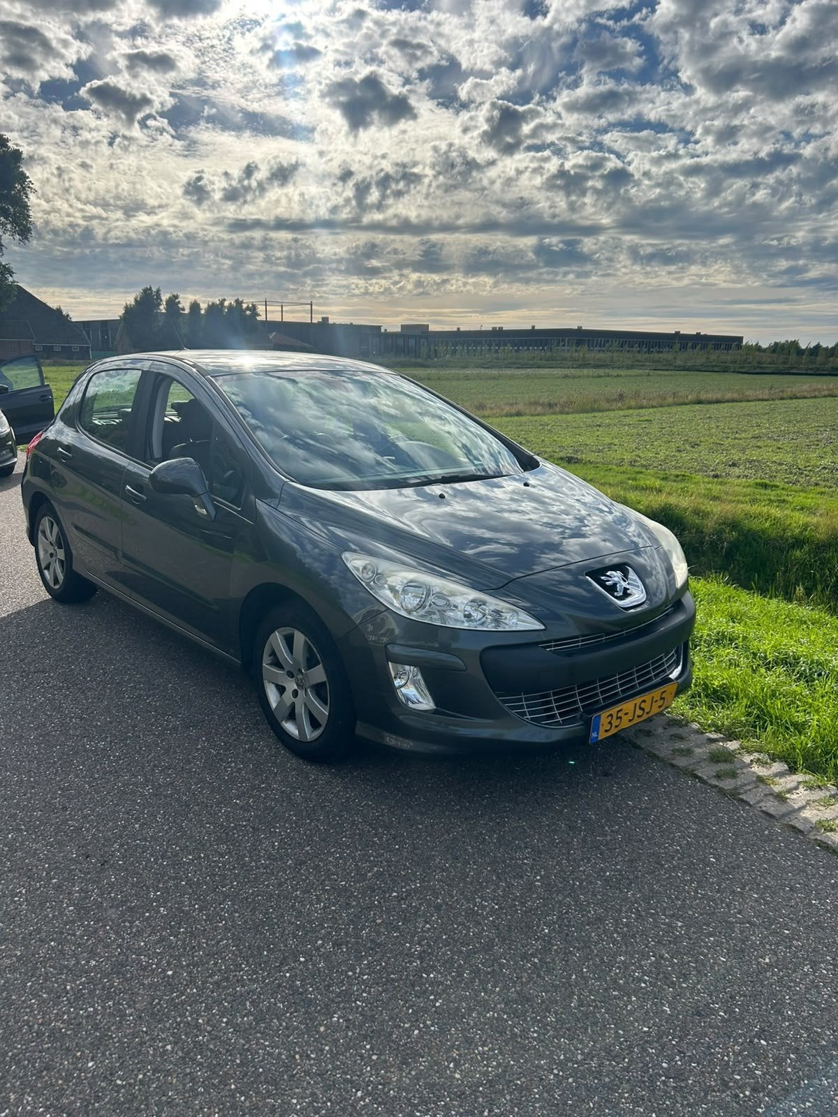 Peugeot 308 1.6 VTI 16V 5-DRS 2009 Grijs