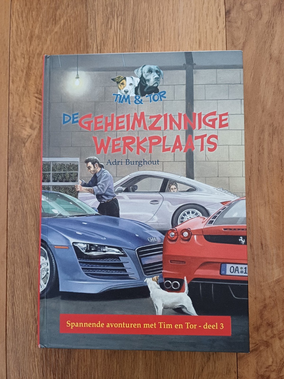 Adri Burghout - De geheimzinnige werkplaats.dl 3 Nieuwstaat, Ophalen of Verzenden, Zo goed als nieuw, Adri Burghout