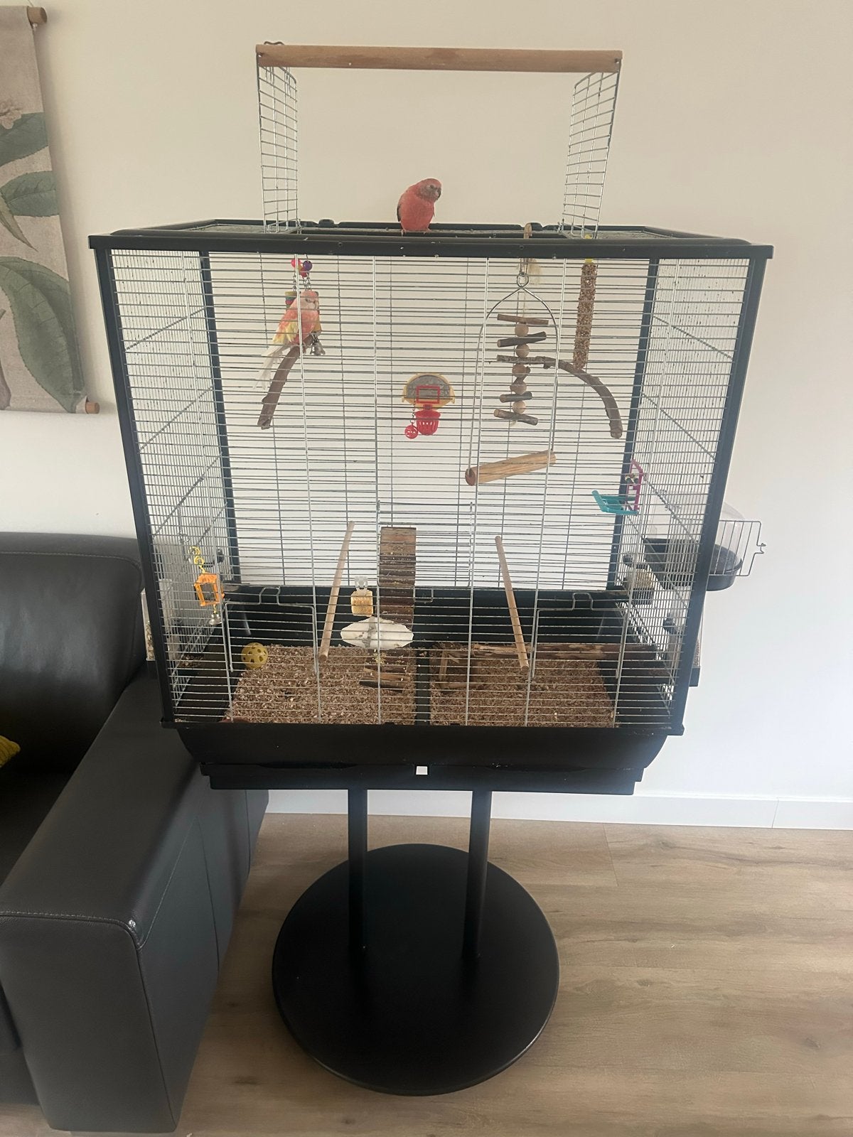 Vogelkooi met alle toebehoren, Ophalen, Metaal, Vogelkooi