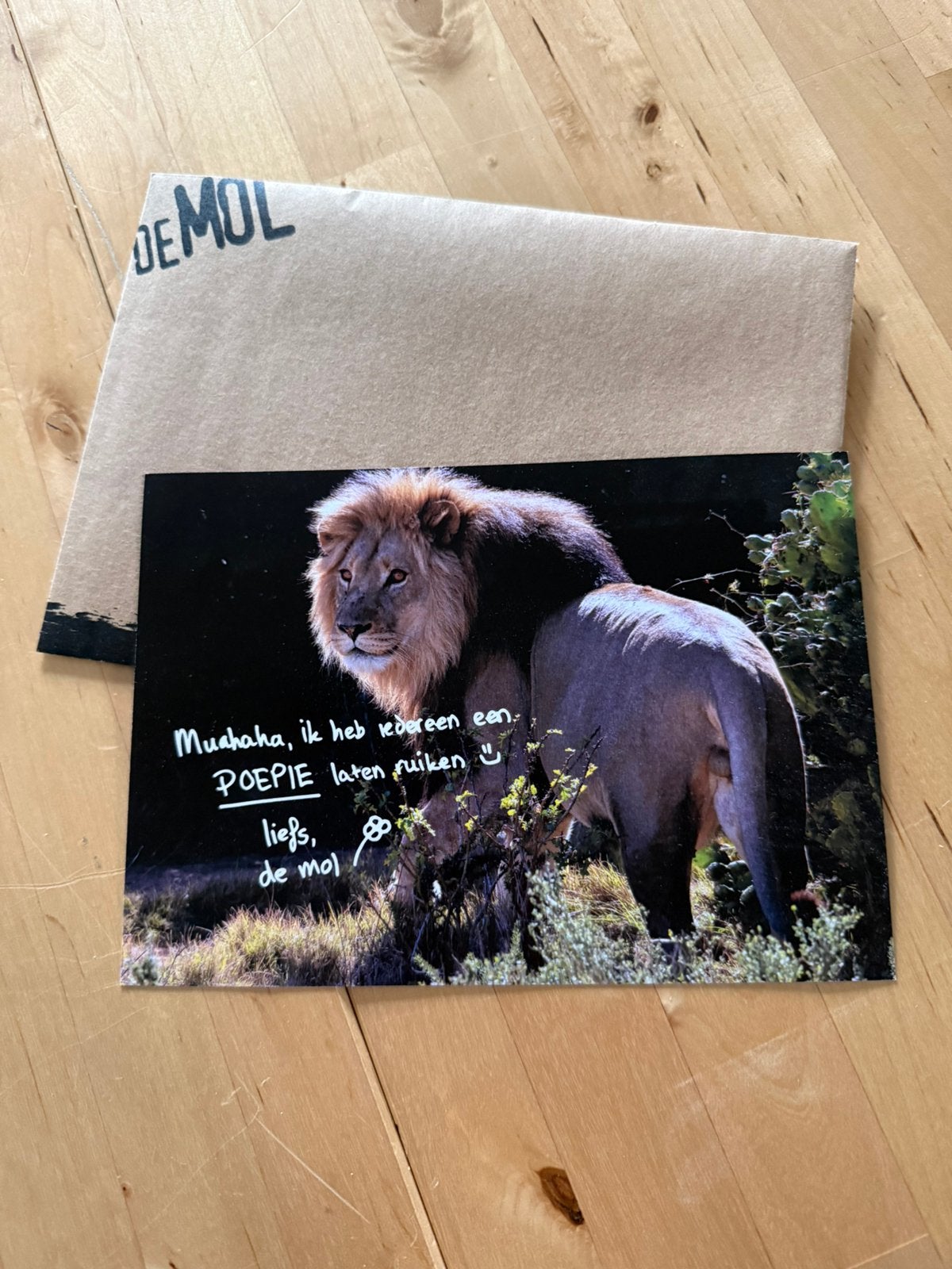 Wie is de mol, Ophalen of Verzenden, Zo goed als nieuw, Foto of Kaart