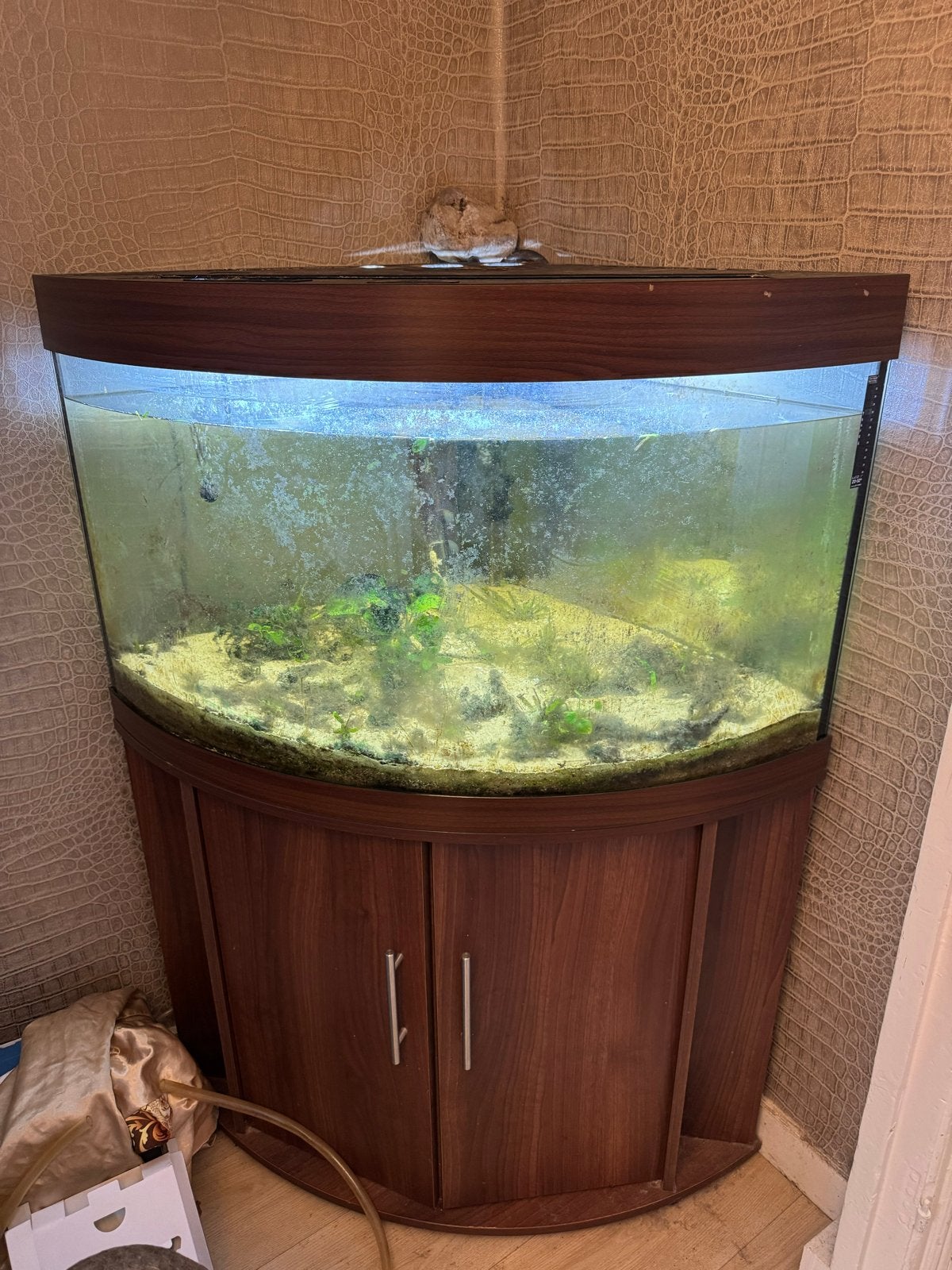Juwel trigon 190, Dieren en Toebehoren, Ophalen, Gebruikt, Leeg aquarium