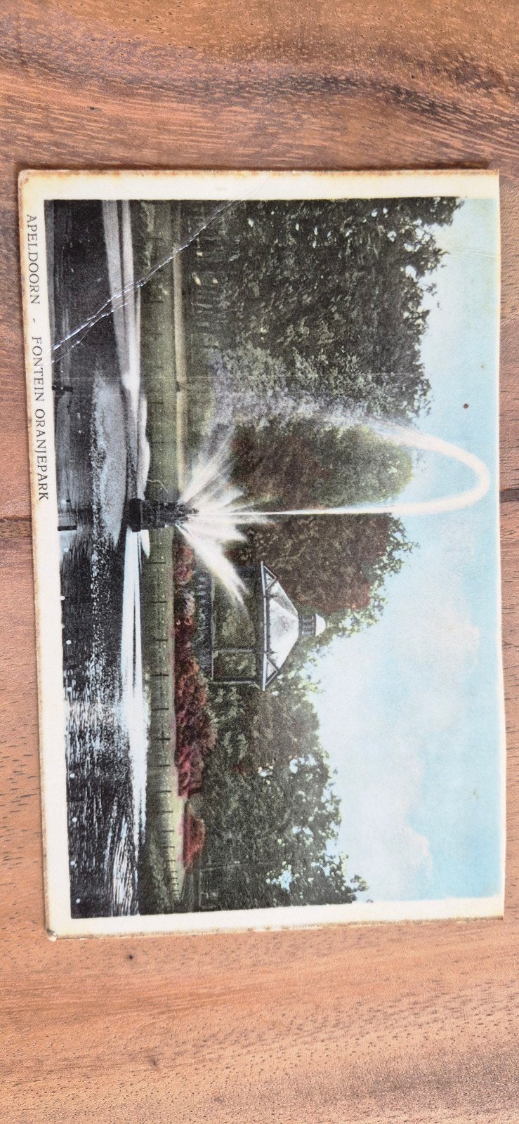 Oude ansichtkaart Apeldoorn - Fontein Oranjepark (1956), Ophalen of Verzenden, 1940 tot 1960, Gelopen, Gelderland