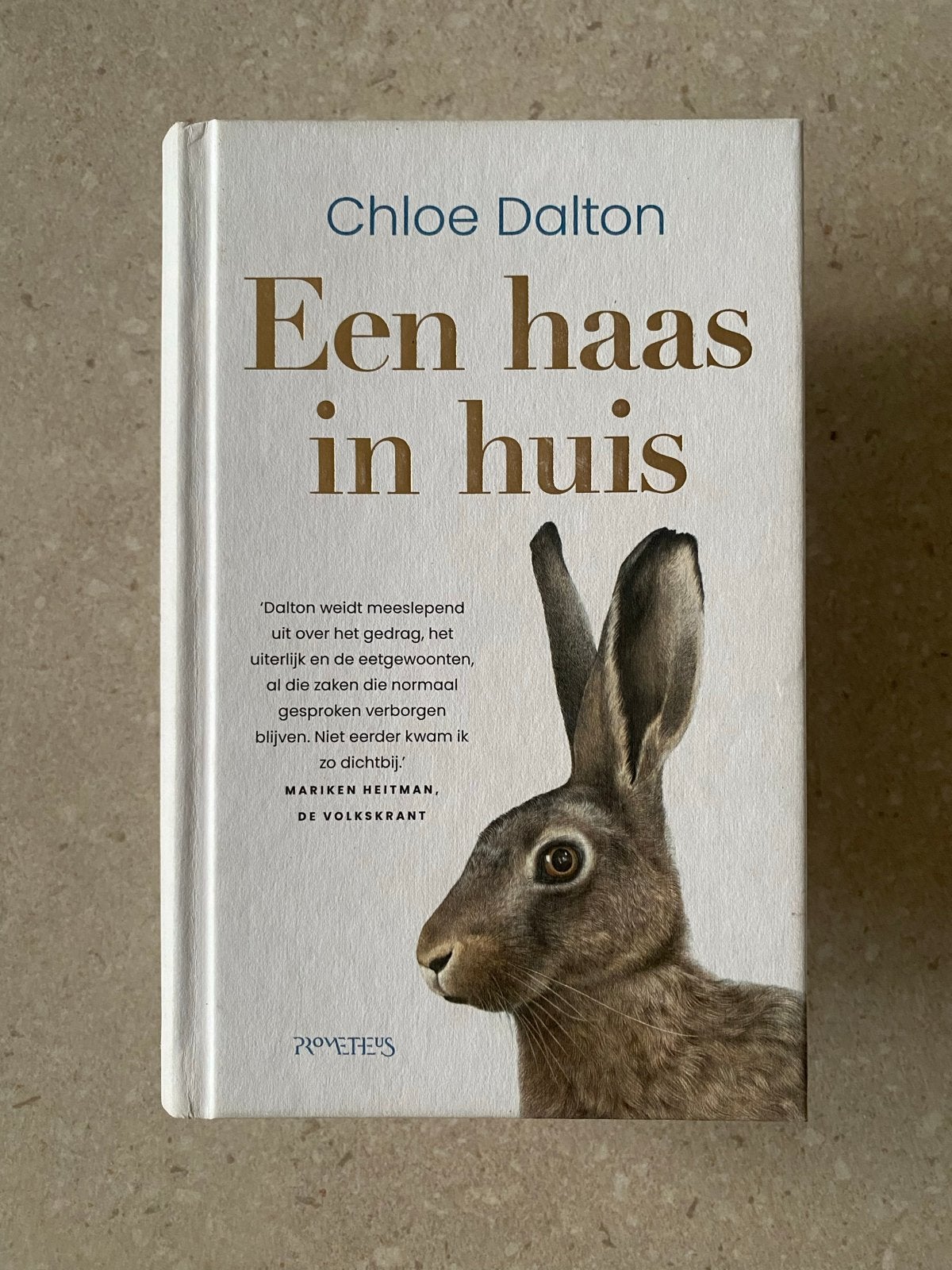 Een haas in huis - Chloe Dalton (Zo goed als nieuw), Ophalen of Verzenden, Zo goed als nieuw, Nederland