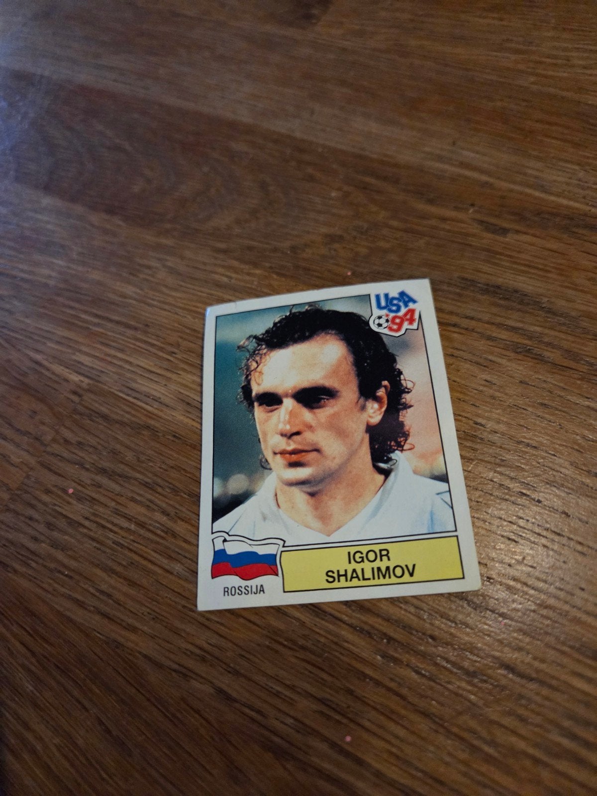 Panini WK 94, Ophalen of Verzenden, Zo goed als nieuw, Buitenlandse clubs, Poster, Plaatje of Sticker