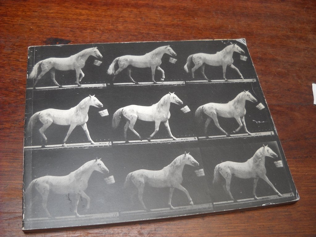 Motion and document sequence and time, Fotografen, Diverse auteurs, Ophalen of Verzenden, Zo goed als nieuw