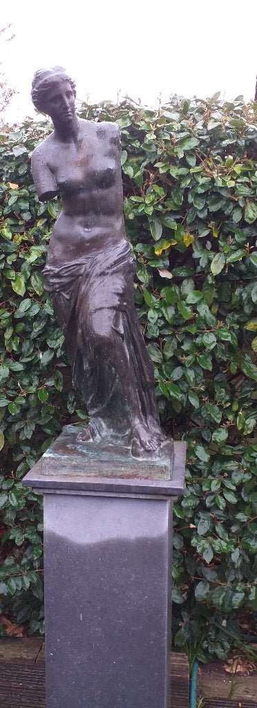 bronzen beeld venus van milo, Ophalen, Weerbestendig, Brons, Beeld
