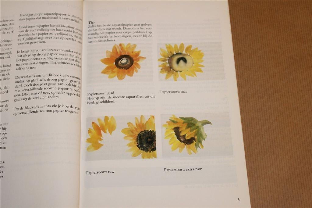 Planten in Bloei — Bloemen & Planten in Aquarel, Boeken, Ophalen of Verzenden, Gelezen, Overige onderwerpen
