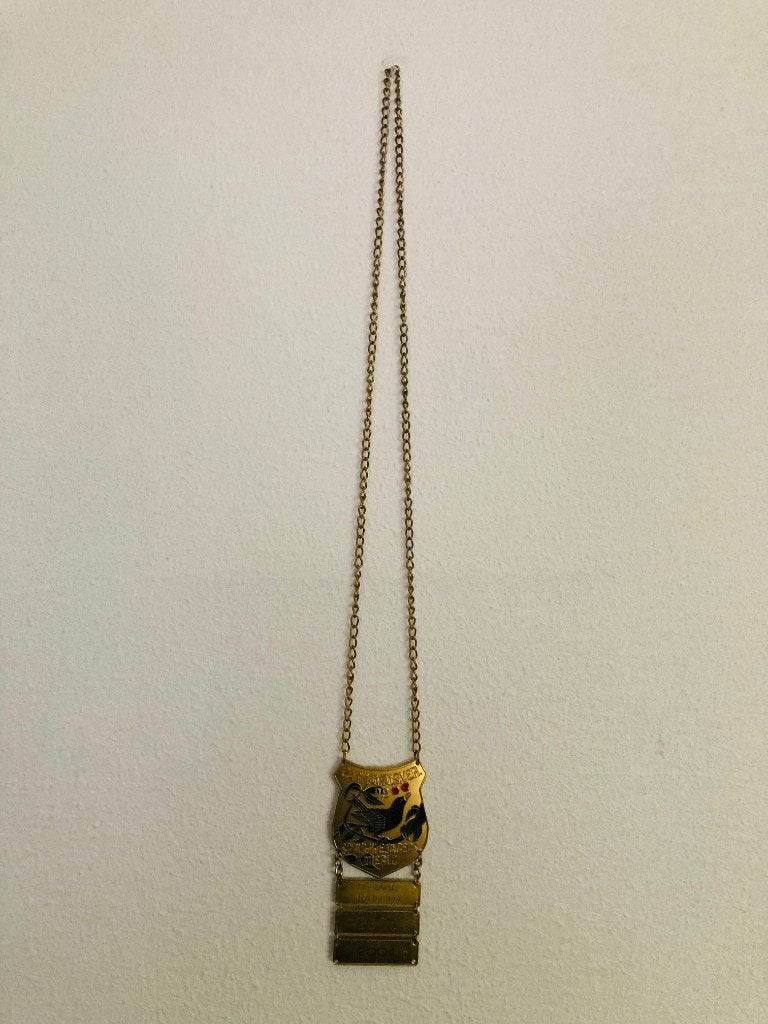 Carnaval onderscheiding/ketting CV Spruwejagers Mierlo (4), Ophalen of Verzenden, Overige materialen, Nederland