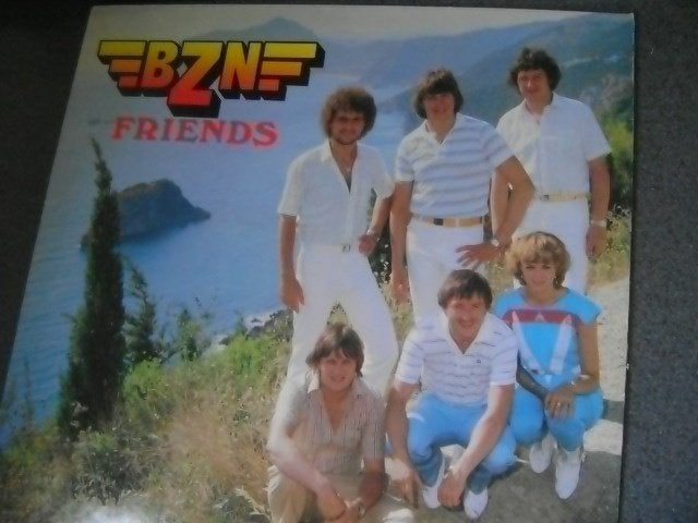lp BZN friends, Ophalen of Verzenden, Gebruikt, LP
