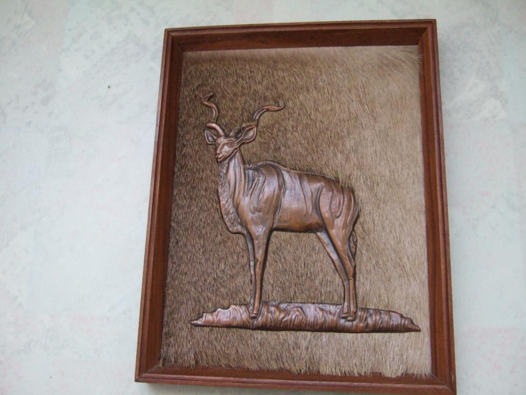 Zeldzaam kudu koedoe op antilope huid pels uit Zuid Afrika, Ophalen of Verzenden, Flora en Fauna