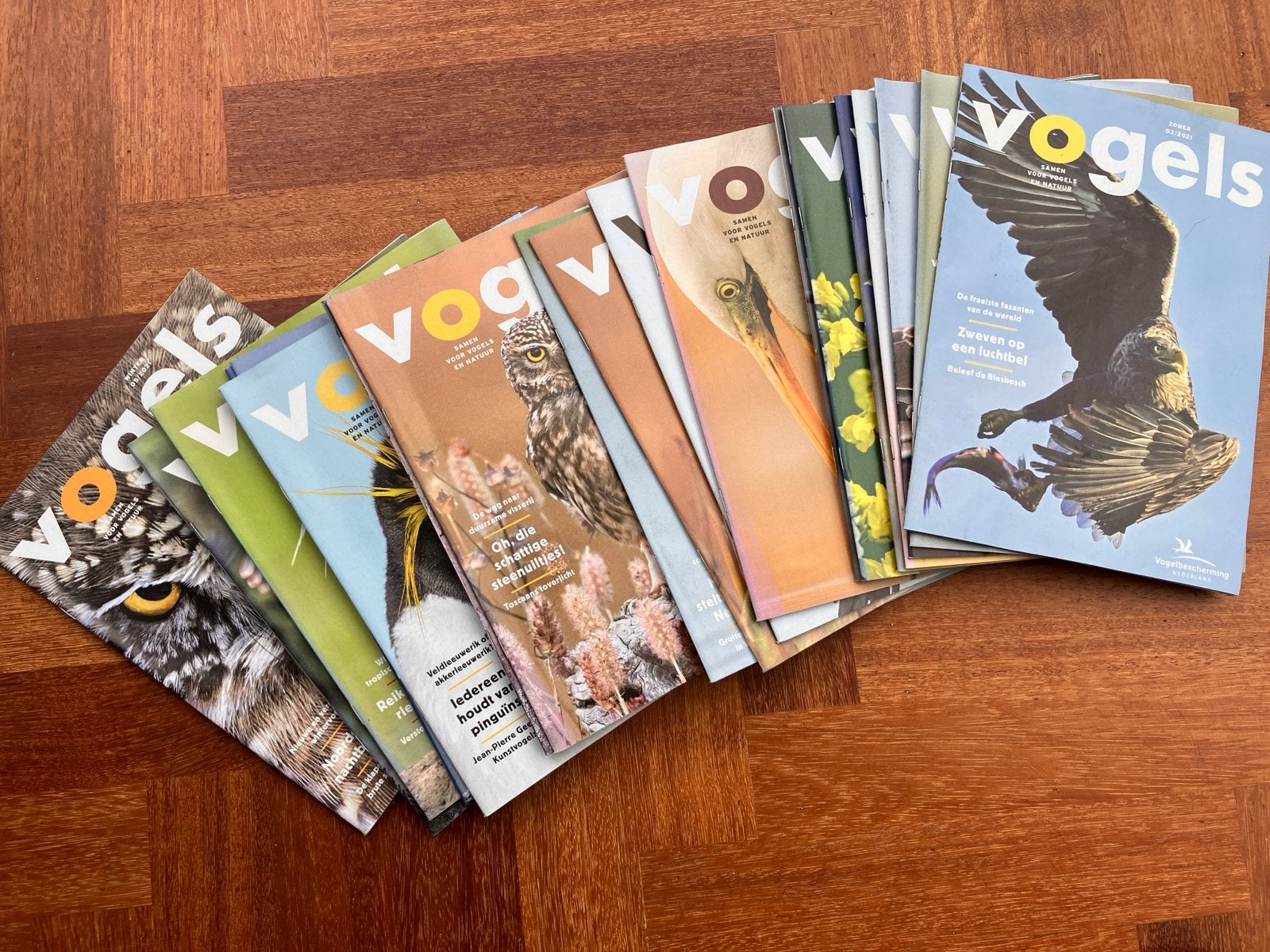 Gratis: Meerdere jaargangen Vogels (Vogelbescherming), Boeken, Tijdschriften en Kranten, Ophalen, Gelezen, Wetenschap en Natuur