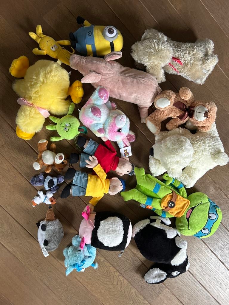 Veel knuffels, Kinderen en Baby's, Speelgoed | Knuffels en Pluche, Gebruikt, Overige merken, Overige karakters, Overige typen