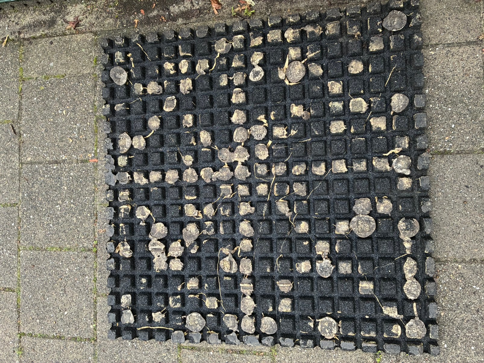 Foto 6 van Rubberen tegels / rubberen matten
