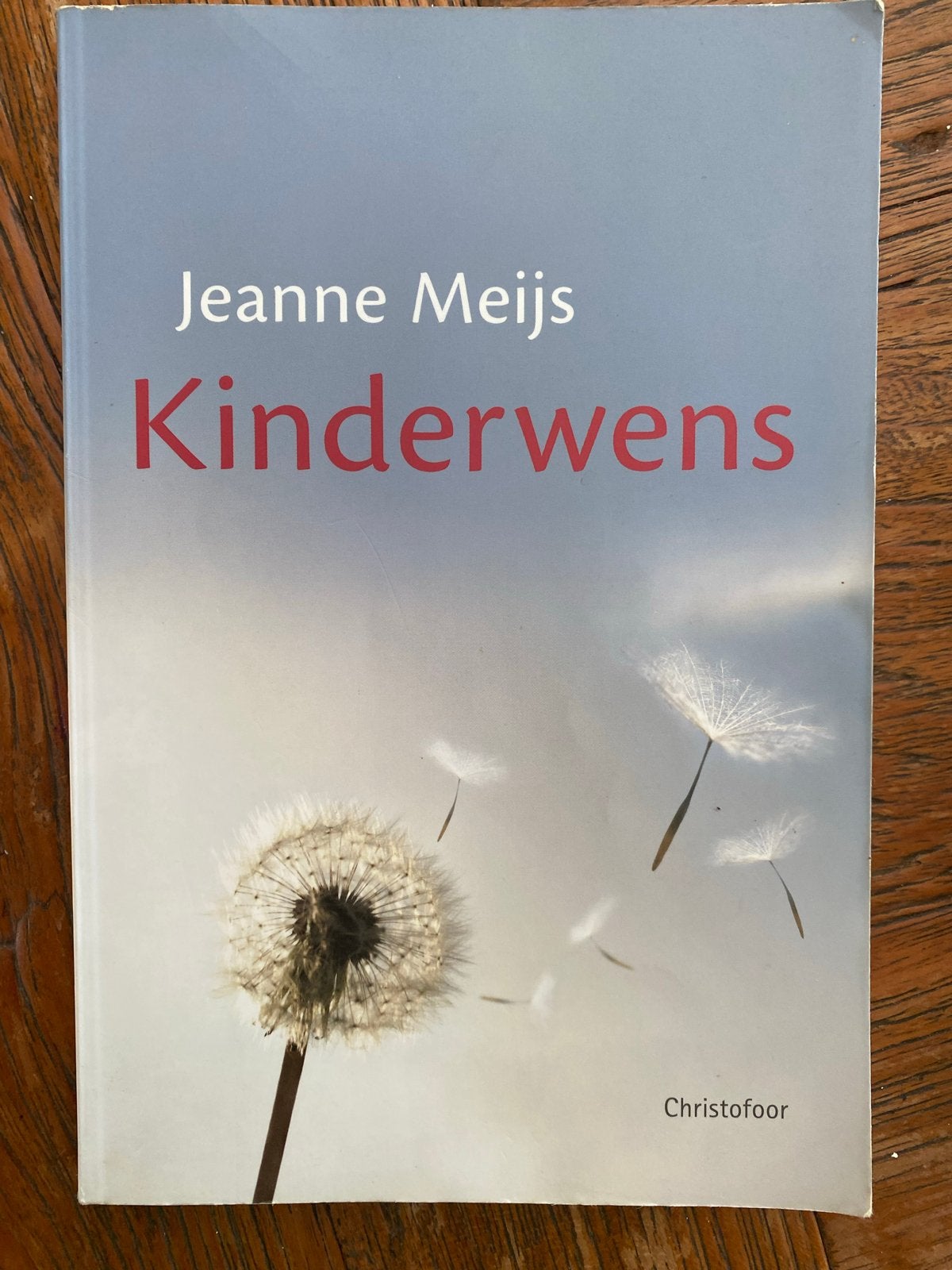 Kinderwens - Jeanne Meijs (Boek over zwangerschap), Ophalen of Verzenden, Gelezen, Zwangerschap en Bevalling