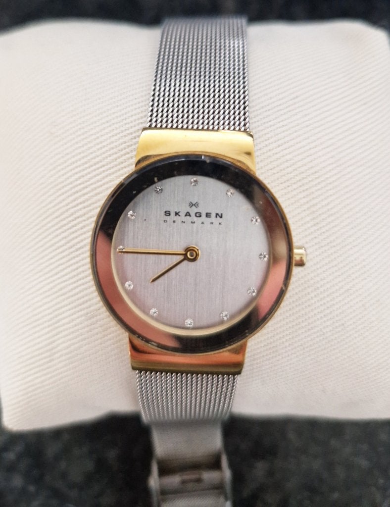 Prachtig Dames Horloge SKAGEN ZGAN, Overige merken, Staal, Staal, Polshorloge