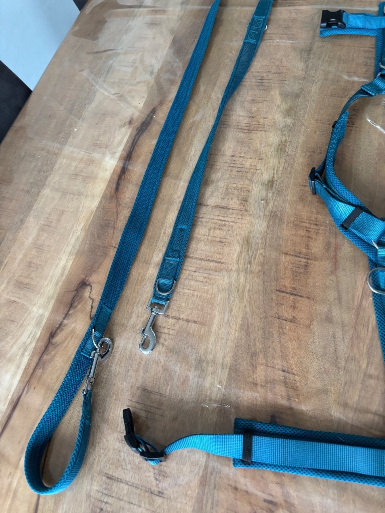 Honden tuigje/riem, Ophalen, Zo goed als nieuw, Hondenriem-accessoire