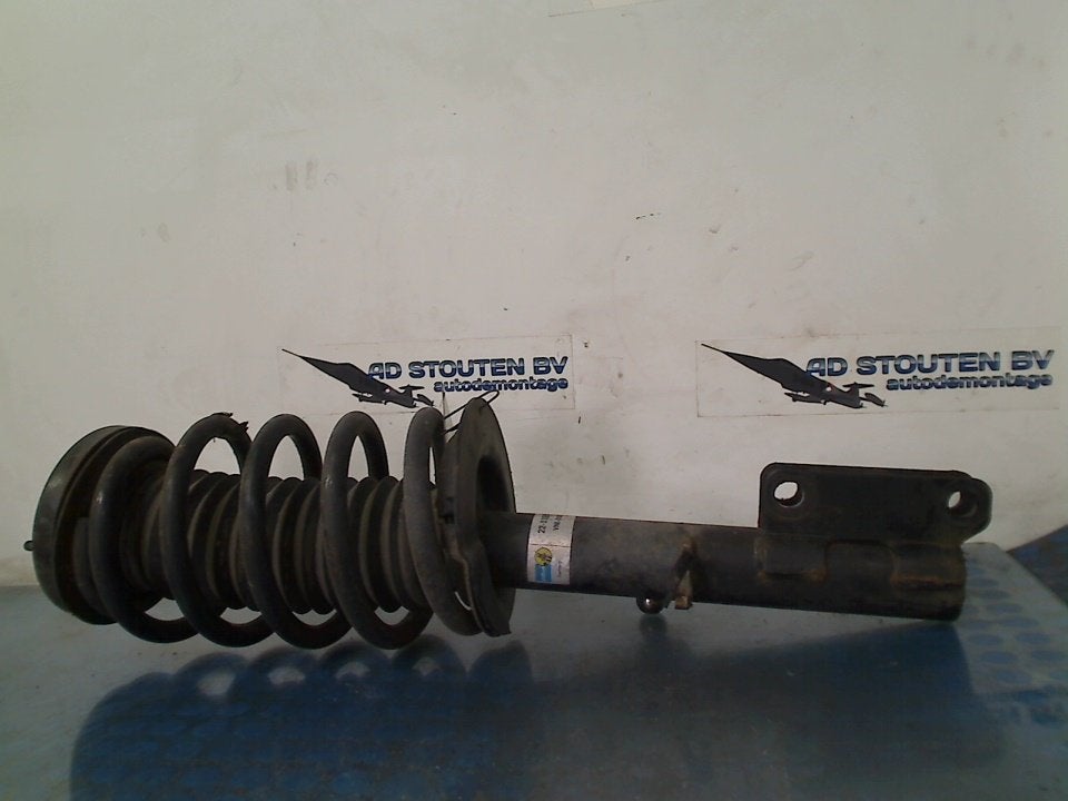 Veerpoot Rechts Voor BMW X5 (E53) (2003-12/2006-12) 22119261, Gebruikt, Petuelring 130, München 80809, , Duitsland, BMW, Bayerische Motoren Werke AG
