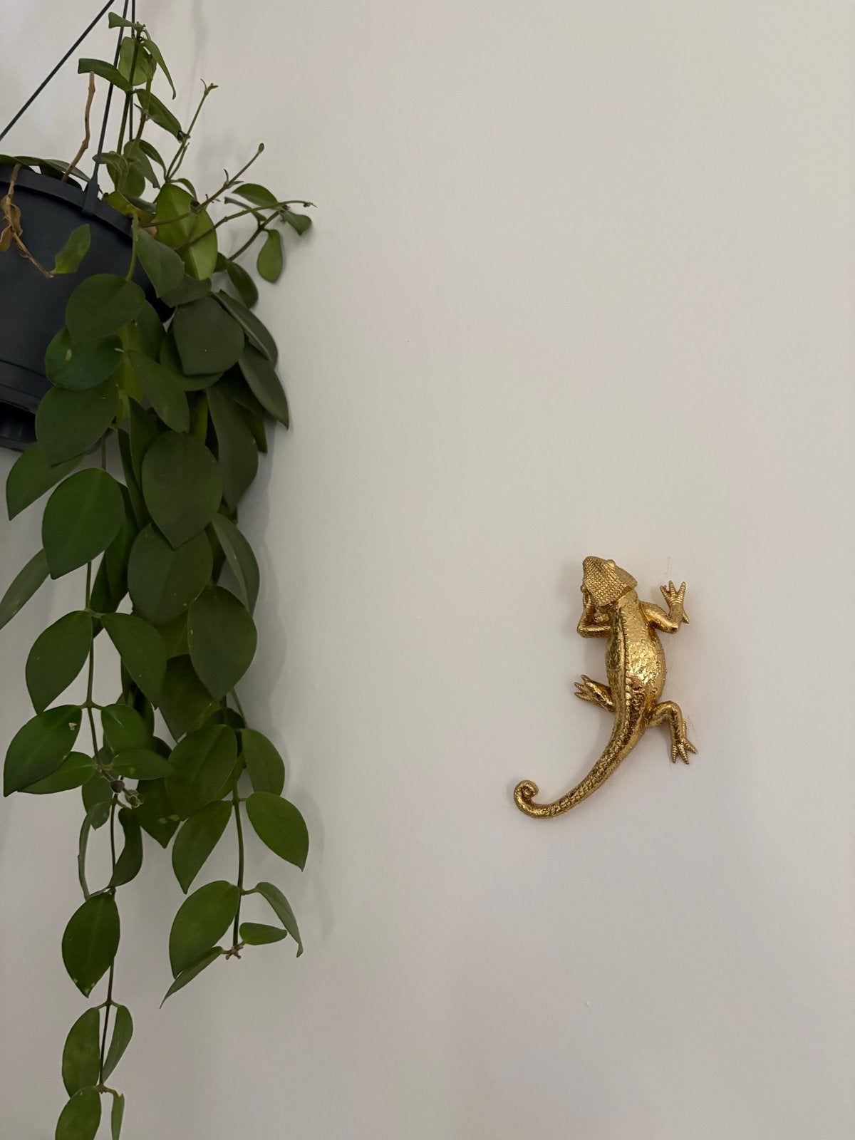 Gouden Hagedis Decoratie - Wand of Tafel, Overige materialen, Ophalen of Verzenden, Zo goed als nieuw, Goud