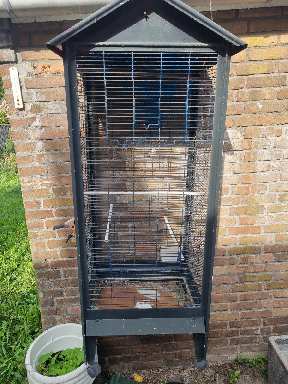 vogel kooi, Dieren en Toebehoren, Ophalen of Verzenden, Metaal, Volière