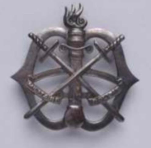 Gezocht: Embleem Militaire Politie (zie foto), Ophalen of Verzenden, Landmacht, Nederland, Embleem of Badge